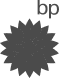 BP